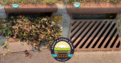 storm drains clogged and cleaned